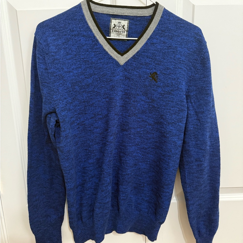 Express Blue V-Neck Sweater